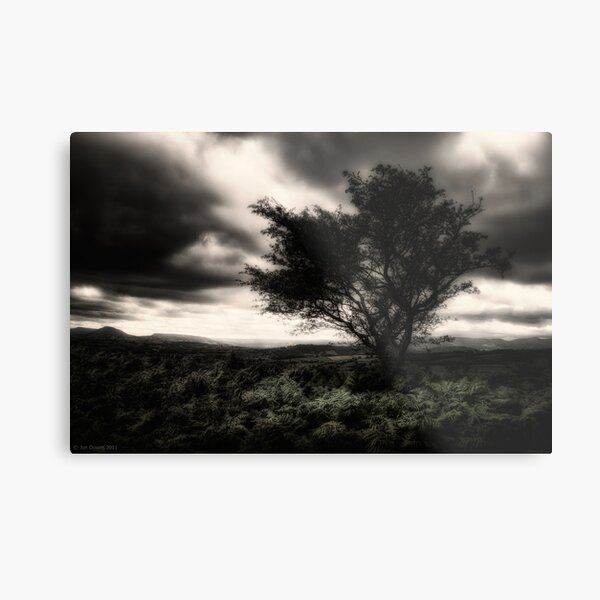 once upon a hill Metal Print