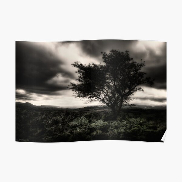 once upon a hill Poster