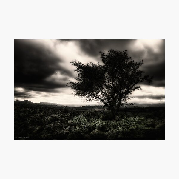 once upon a hill Photographic Print