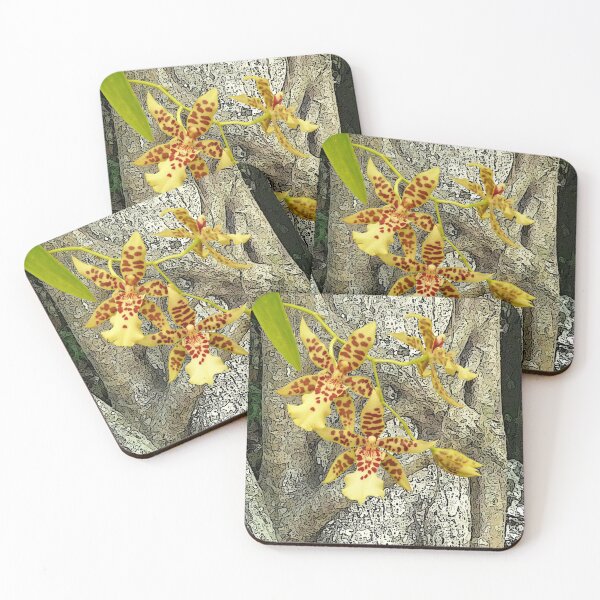 Item preview, Rainforest strangler fig and orchids designed and sold by Leonie Mac Lean.
