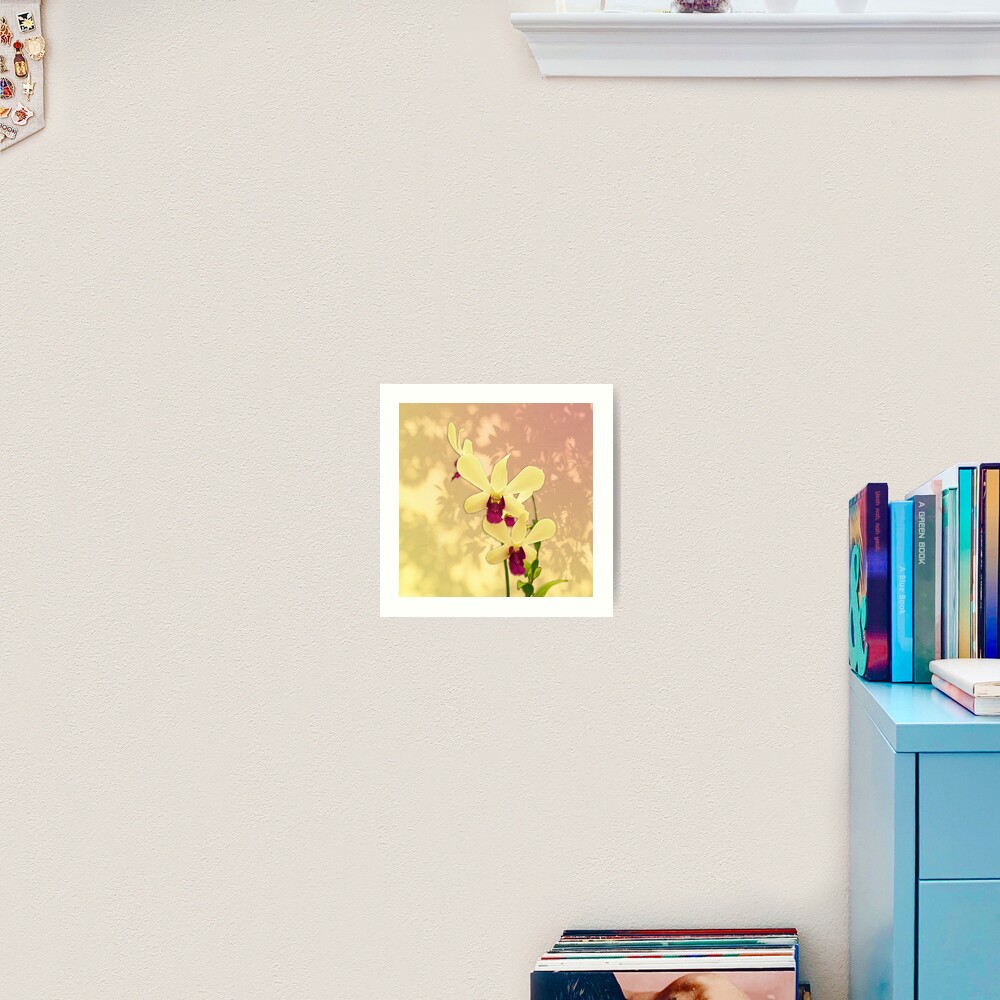 Purple Exotic Orchid with Shadows Art Print