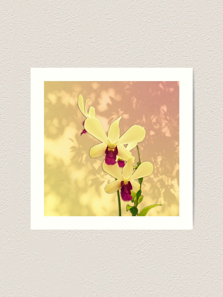 Alternate view of Purple Exotic Orchid with Shadows Art Print