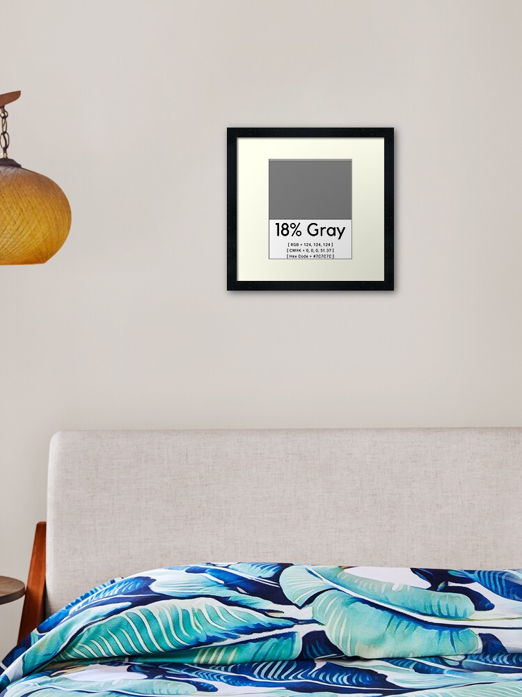 18% Gray Photography RGB CMYK Hex Code Black Text | Framed Art Print