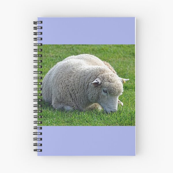 Item preview, Don't Be  Blue Little  Ewe....  Dorset UK designed and sold by lynn carter.