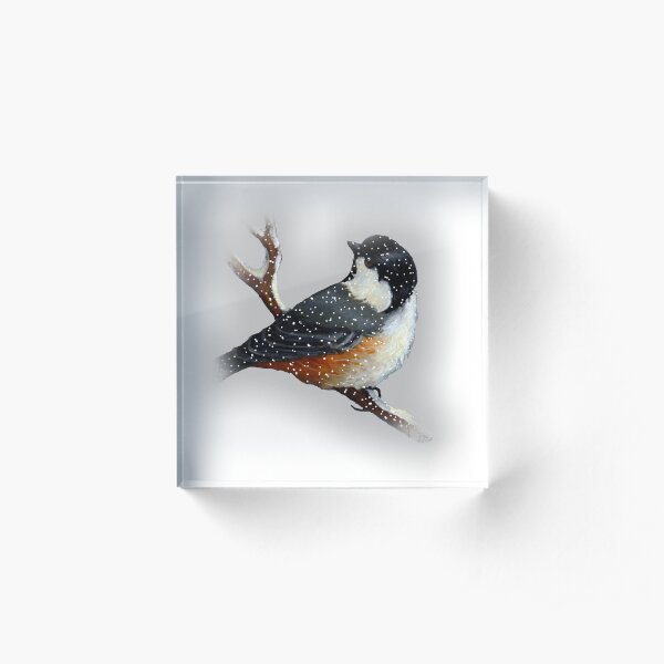 Chickadee in Snow, Original Art, Wildlife Art, Bird in Winter Acrylic Block