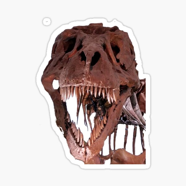 Item preview, Sue the Tyrannosaurus Rex original photo designed and sold by WHemporium.