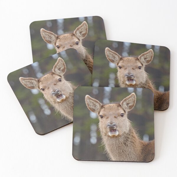 Item preview, Taken by Surprise! Red Deer.  designed and sold by sandysshoots.