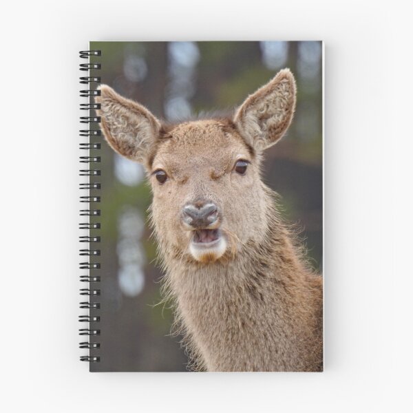 Item preview, Taken by Surprise! Red Deer.  designed and sold by sandysshoots.