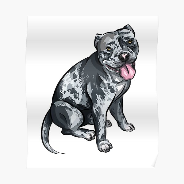 american merle bully