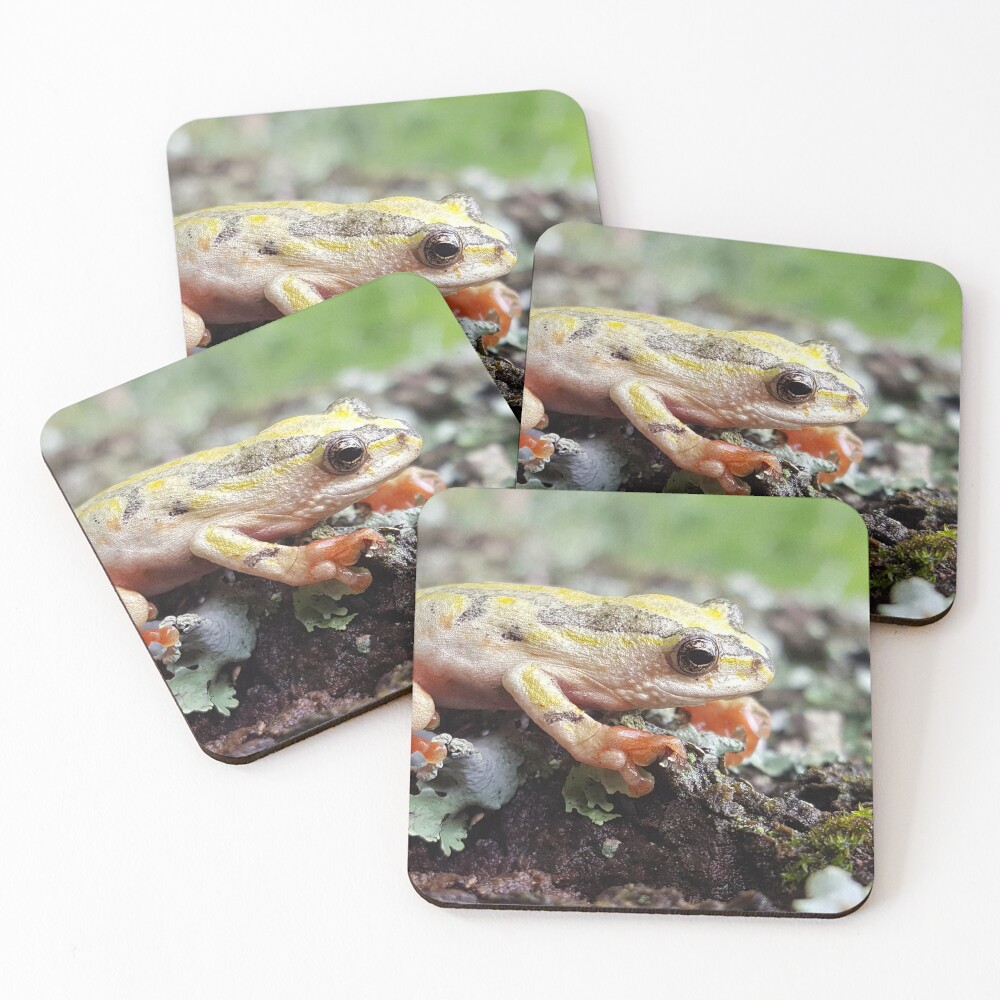 Item preview, Coasters (Set of 4) designed and sold by Scimitar.