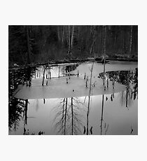 opaque reflection Photographic Print