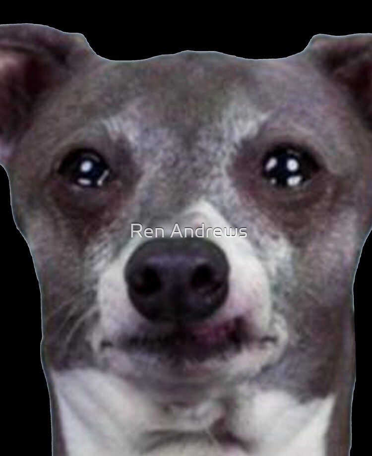 Kermit Crying Ipad Case Skin By Rensdigitalart Redbubble