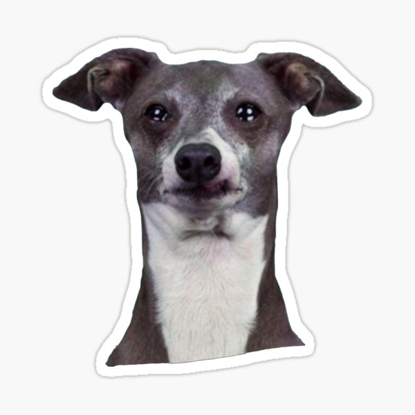 "Kermit Crying" Sticker for Sale by RensDigitalArt | Redbubble