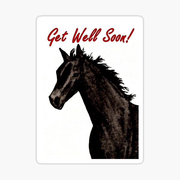 Black Beauty - Get Well Soon Card Sticker