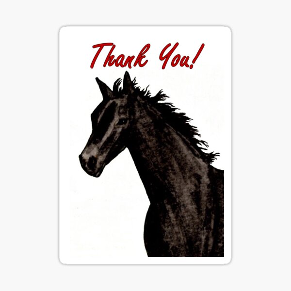 Black Beauty - Thank You Card Sticker