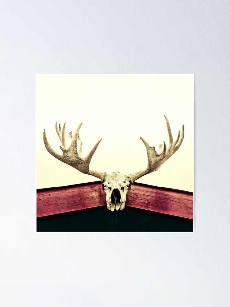 Thumbnail 1 of 3, Poster, moose trophy designed and sold by Mirror.