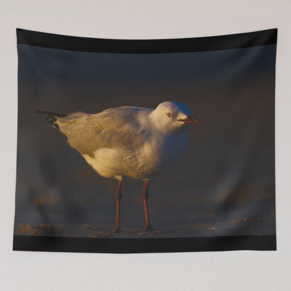 Item preview, A Seagull On The Beach At Dusk designed and sold by Jason Gilbert.