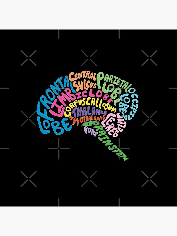 Human Brain Anatomy using Typography by Geek-topia