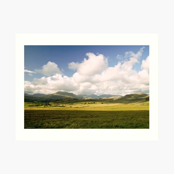 the cottage Art Print
