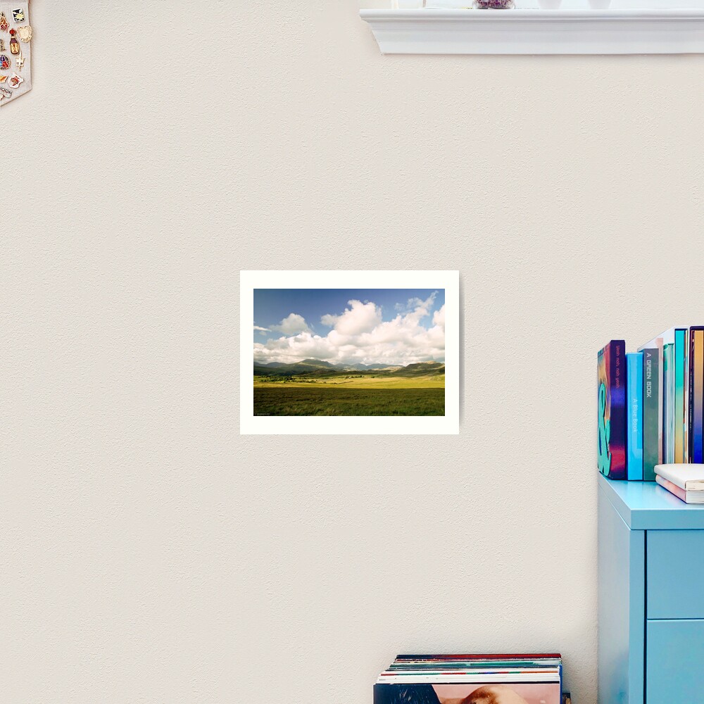 the cottage Art Print