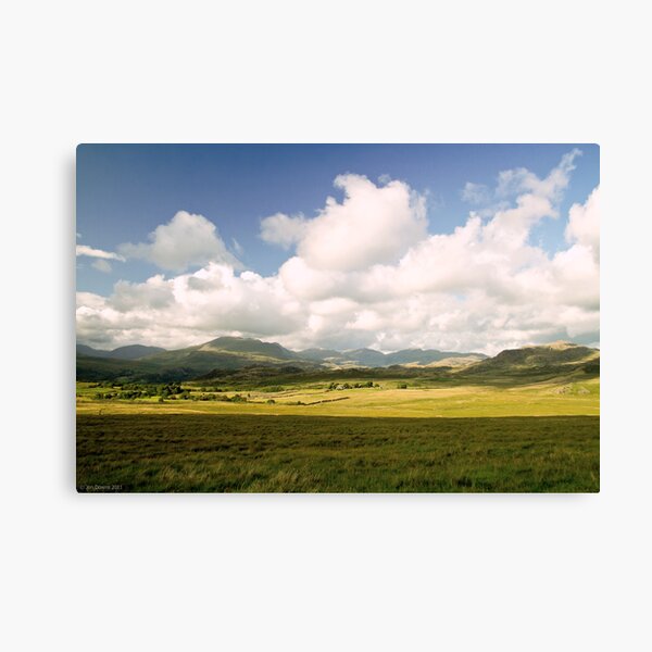 the cottage Canvas Print