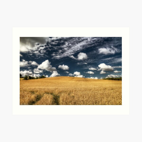 not uncropped? Art Print