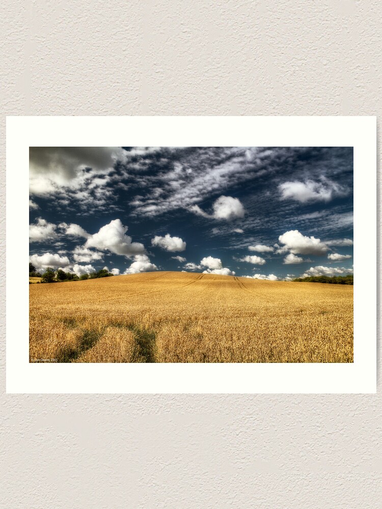Alternate view of not uncropped? Art Print