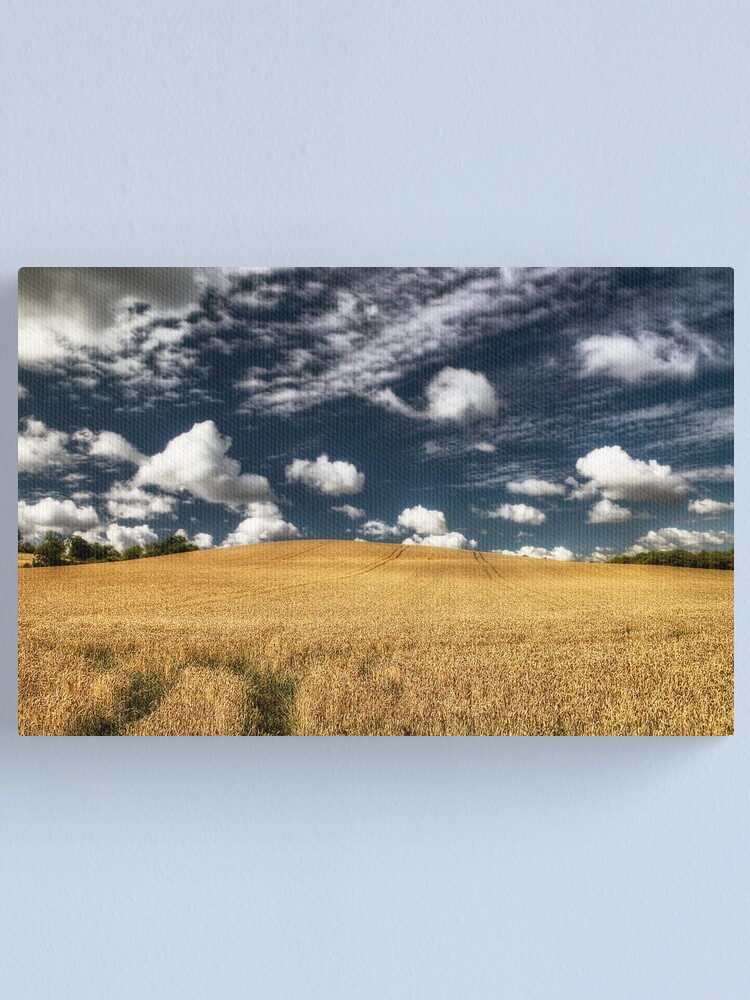 Alternate view of not uncropped? Canvas Print