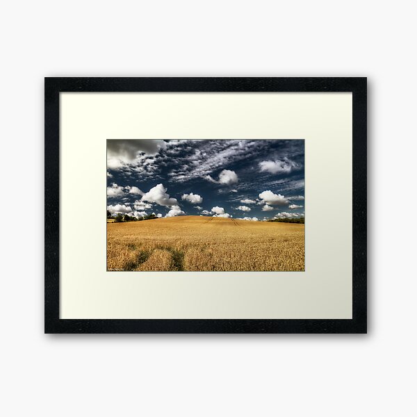 not uncropped? Framed Art Print