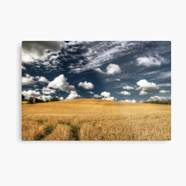 not uncropped? Metal Print
