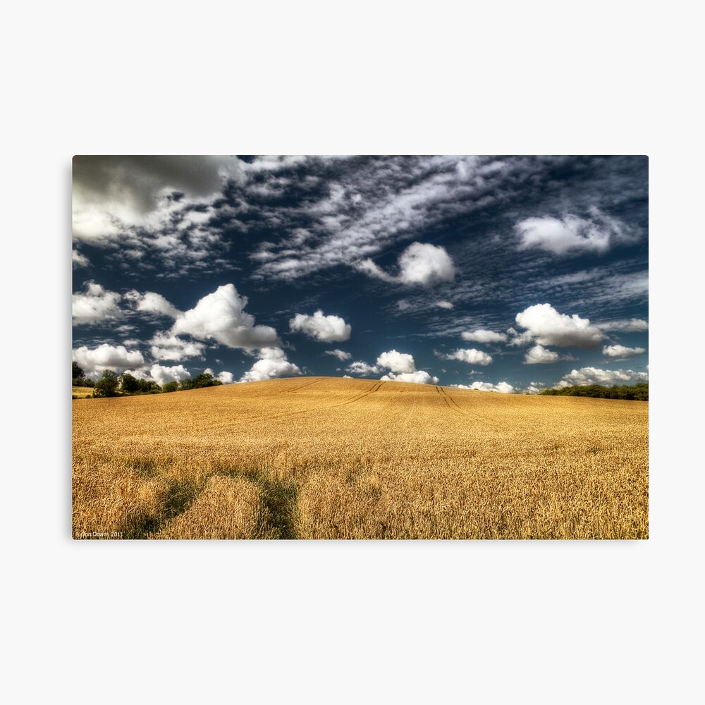 not uncropped? Canvas Print