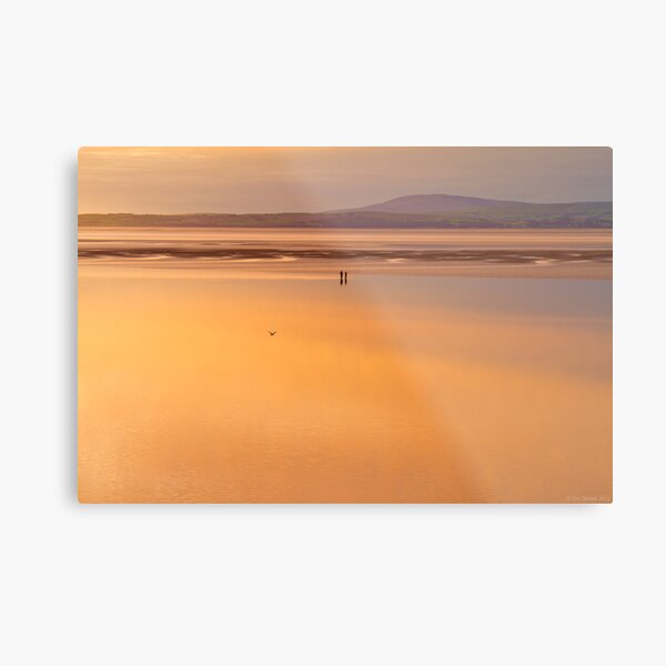 are you sure that this is where we parked the car? Metal Print