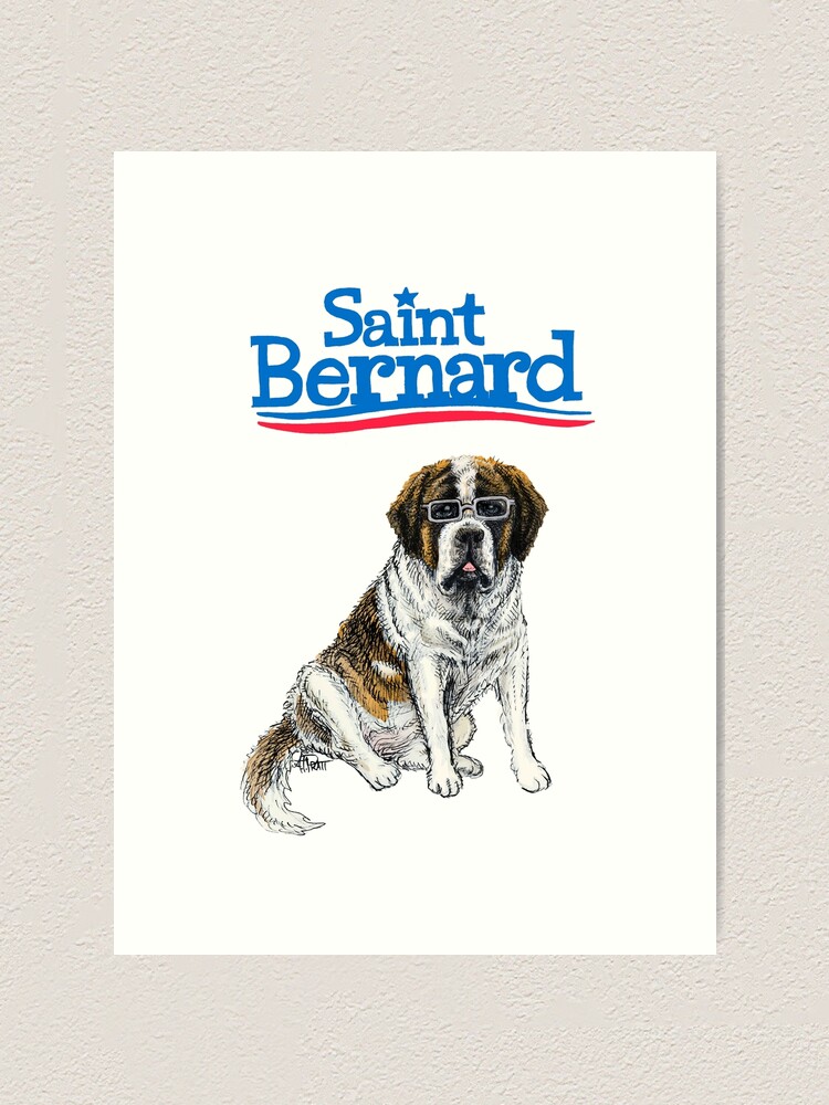 bernie the saint bernard