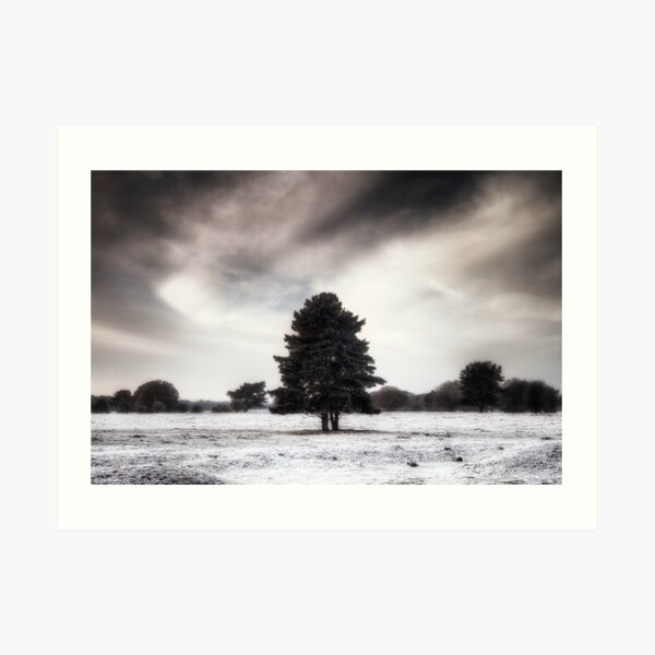 Winter in Elveden Art Print