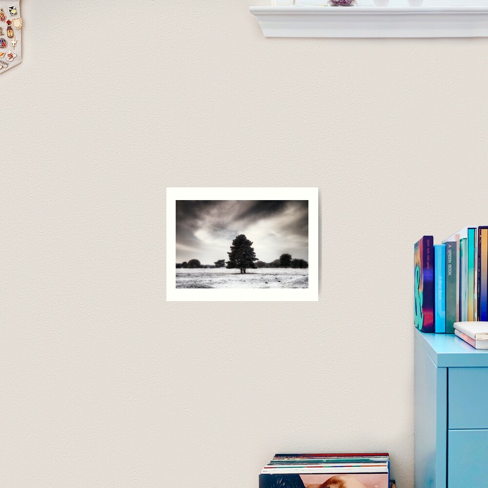 Winter in Elveden Art Print