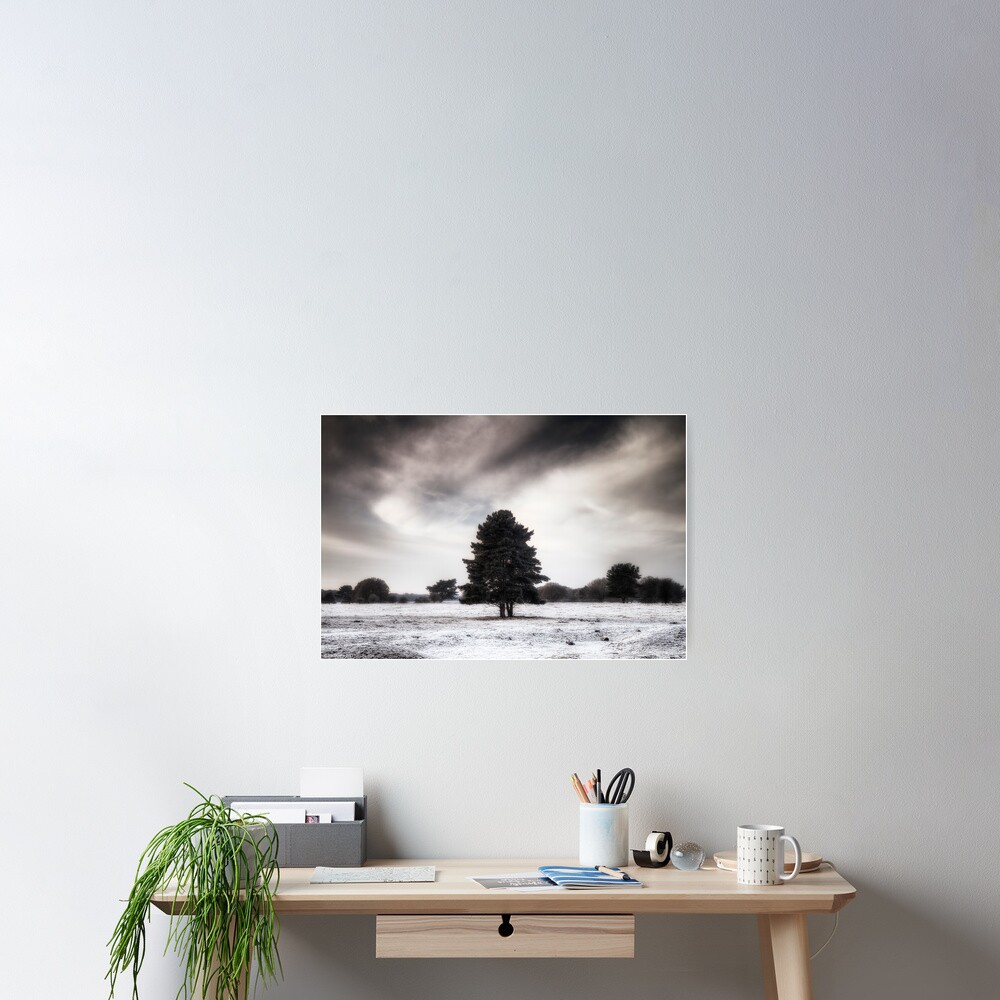 Winter in Elveden Poster