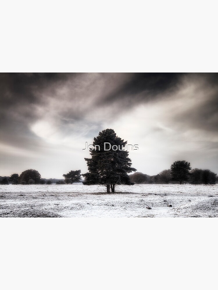 Winter in Elveden by jondowns