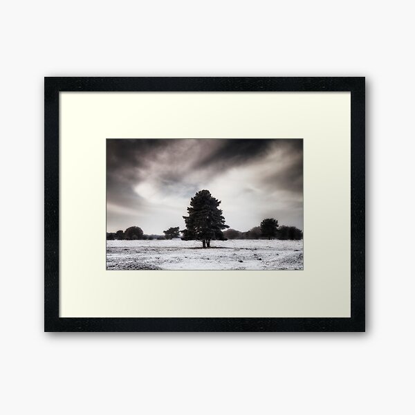 Winter in Elveden Framed Art Print
