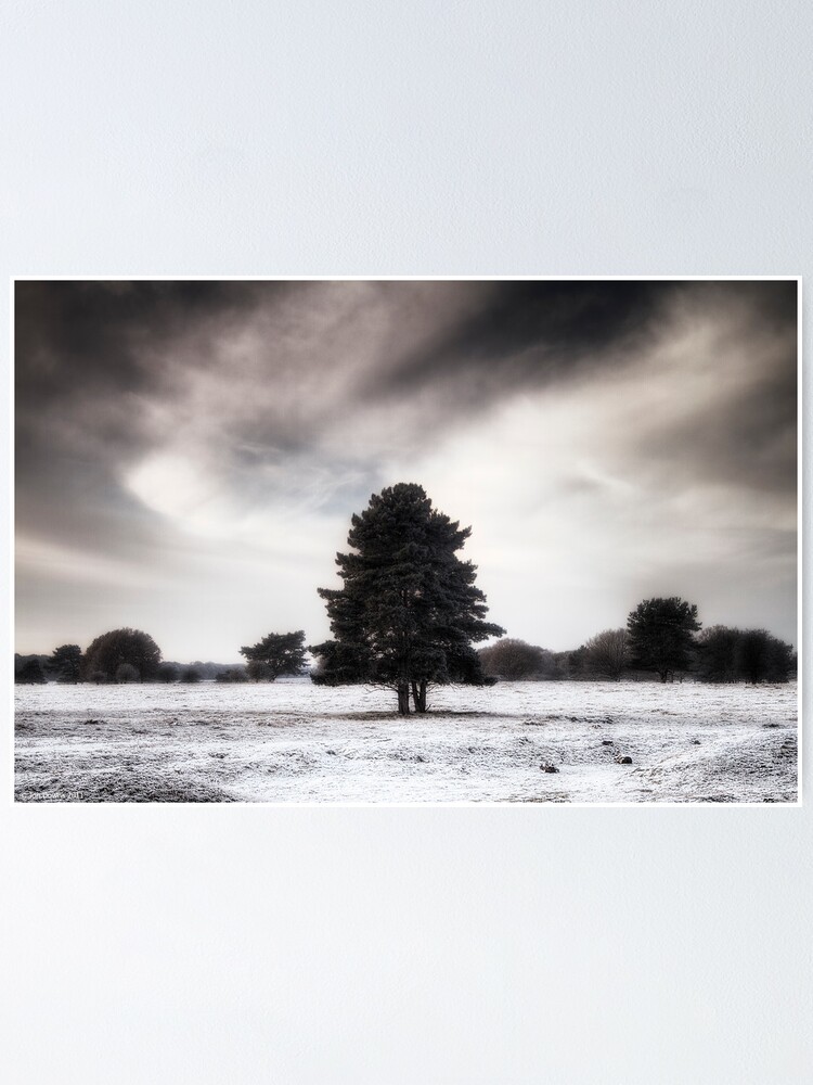 Alternate view of Winter in Elveden Poster