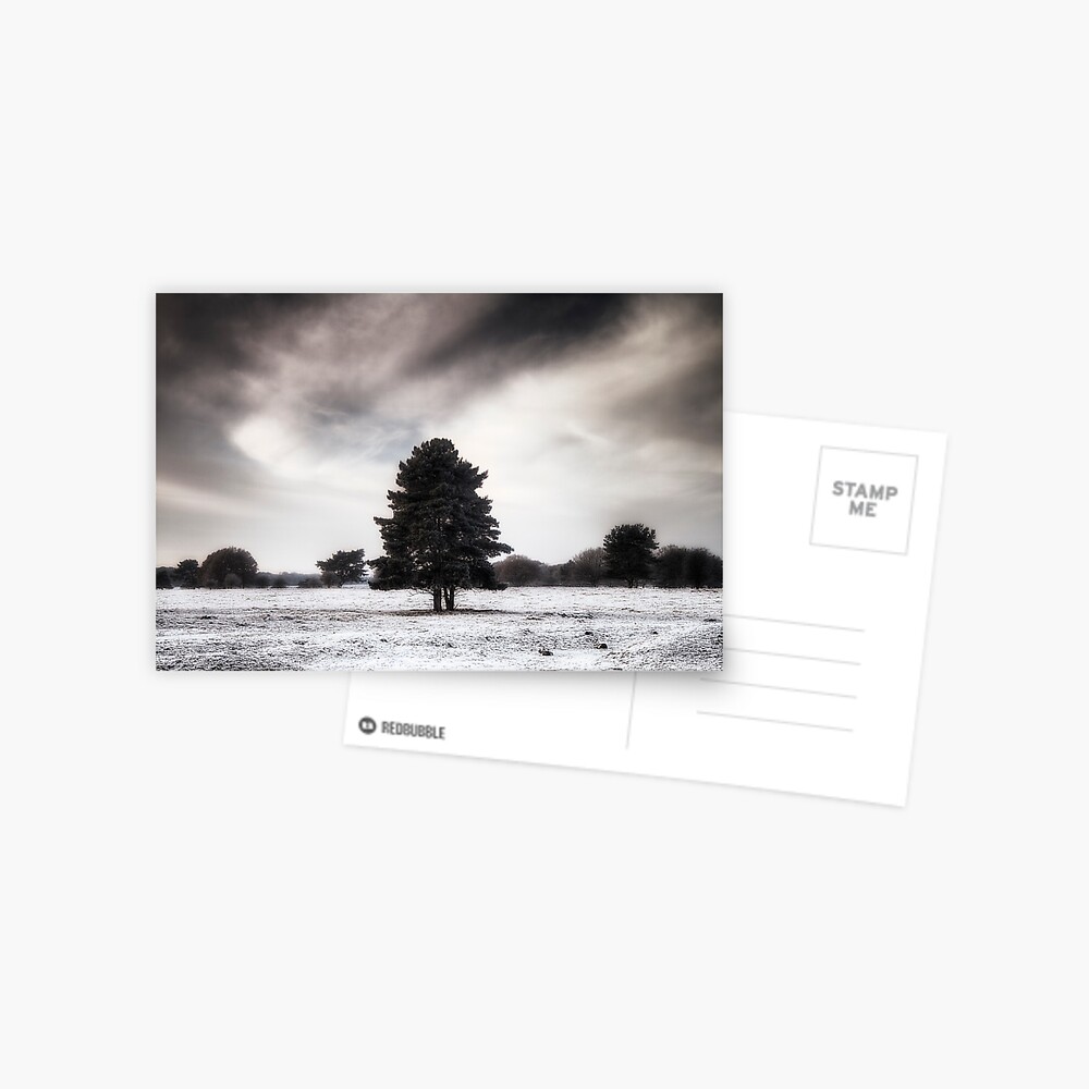 Winter in Elveden Postcard