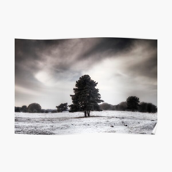 Winter in Elveden Poster
