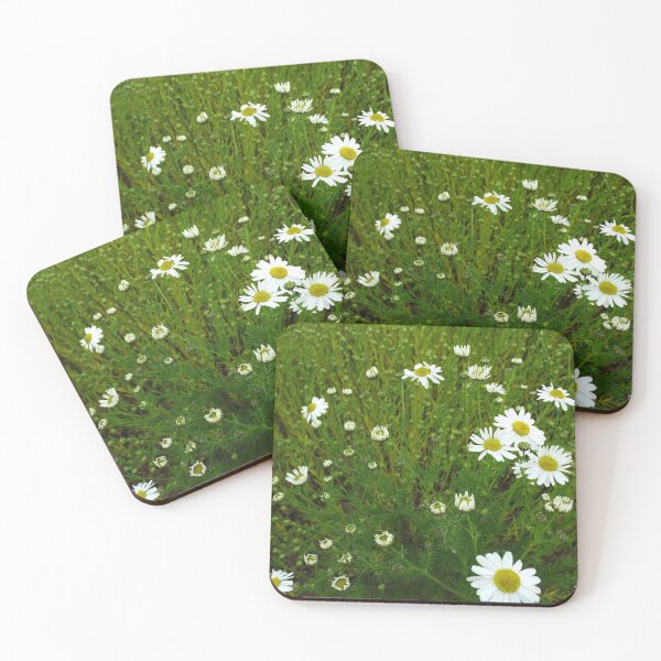 Item preview, Daisies 2 designed and sold by MeyrellesMartin.