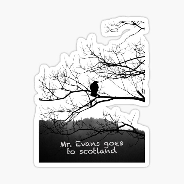 Mr. Raven at trees Sticker
