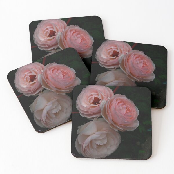 Item preview, Pink Chiffon designed and sold by MarianBendeth.
