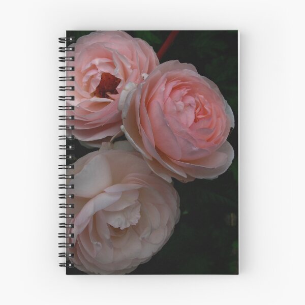 Item preview, Pink Chiffon designed and sold by MarianBendeth.