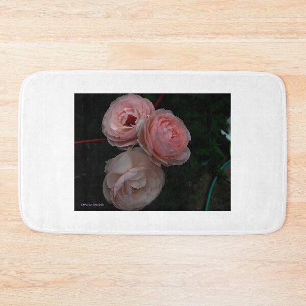 Item preview, Pink Chiffon designed and sold by MarianBendeth.
