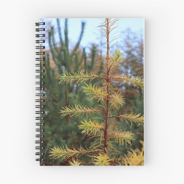 Item preview, Evergreen designed and sold by cuprum.