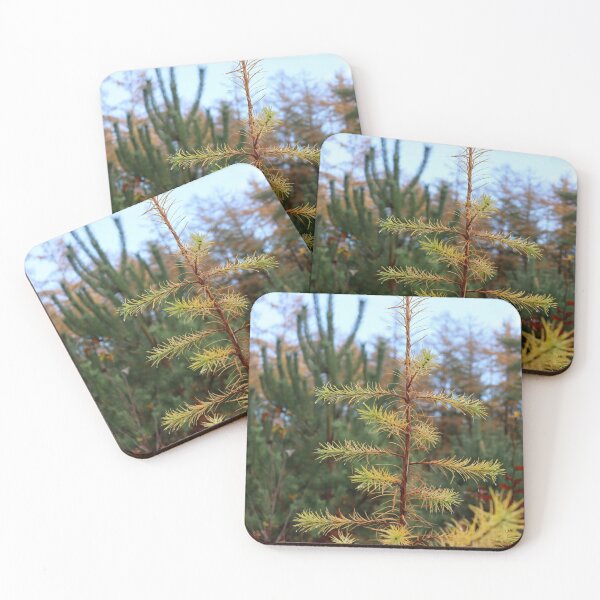 Item preview, Evergreen designed and sold by cuprum.