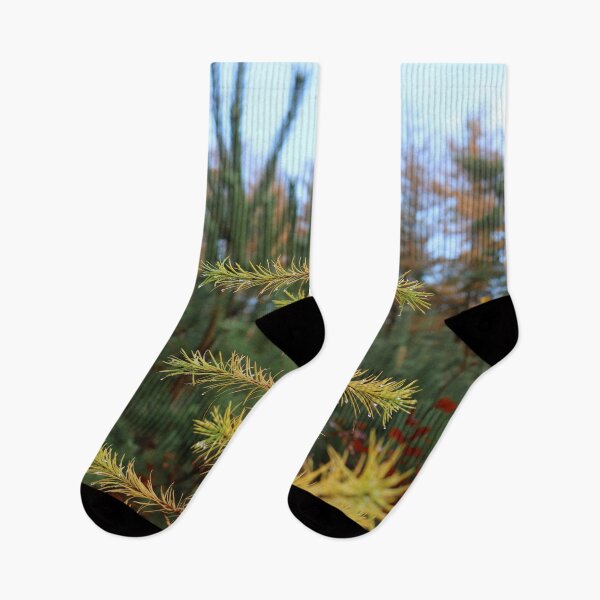 Item preview, Evergreen designed and sold by cuprum.