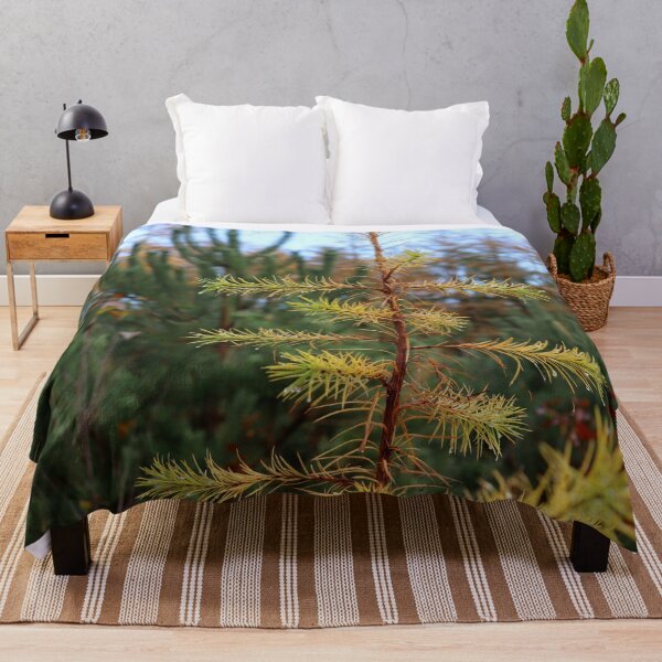 Item preview, Evergreen designed and sold by cuprum.